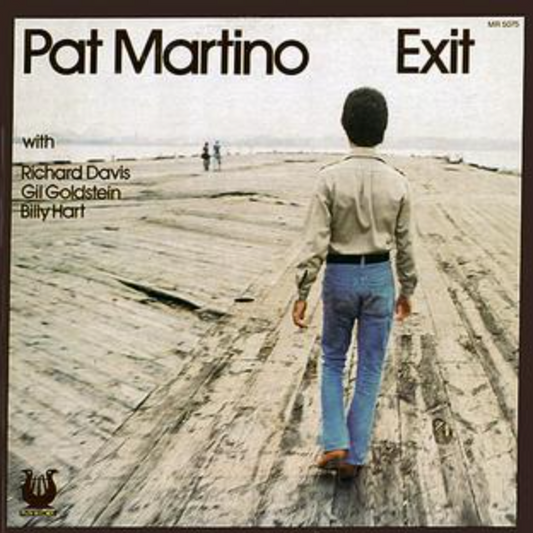 "Days of Wine and Roses" - Pat Martino (Jazz Guitar Transcription)
